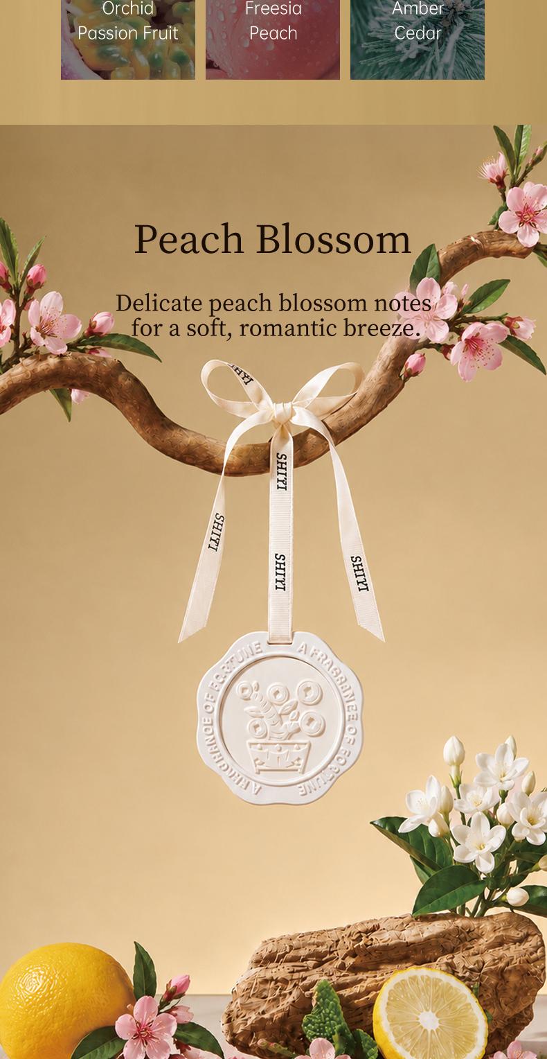Hanging Fragrance Stone detail 4